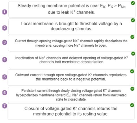 Chapter 6 Homework Questions Flashcards Quizlet