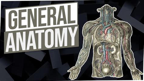 Chapter 6 general anatomy and physiology milady. Things To Know About Chapter 6 general anatomy and physiology milady. 
