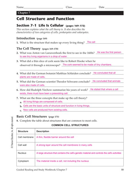 Chapter 7 Cell Structure And Function Worksheet Answer Key —