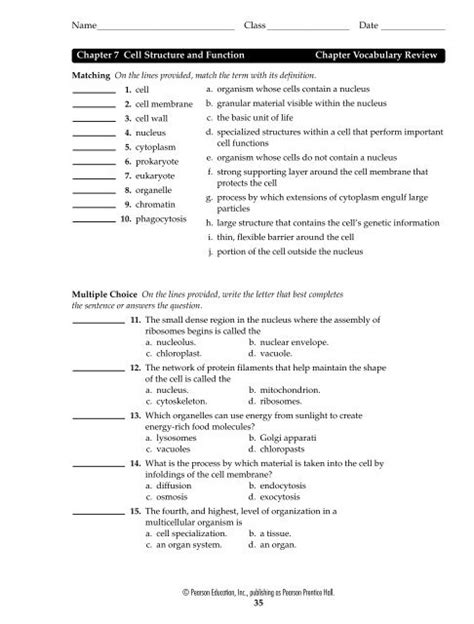 Chapter 7 Cellular Structure and Function