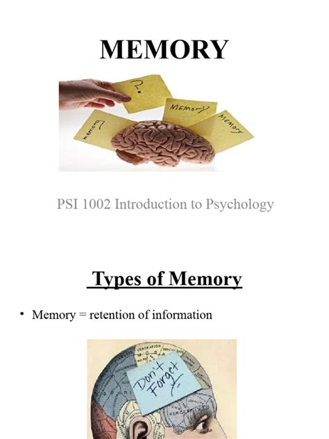 Chapter 7 Memory PDF Memory Recall (Memory)
