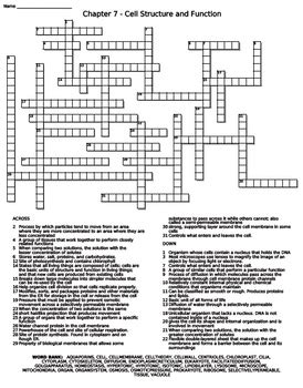 Chapter 7 cell structure and function review crossword.  Biology crossword puzzles help studen...