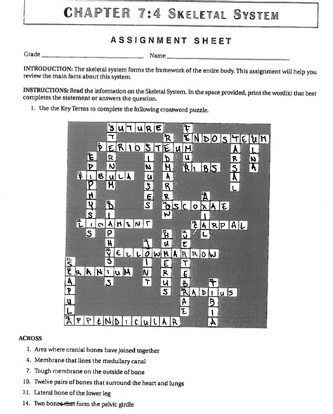 Chapter 74 Skeletal System Assignment Sheet Answers