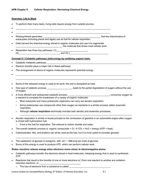 Chapter 9 Energy In A Cell Worksheet