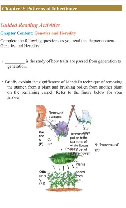 Chapter 9 Patterns Of Inheritance Study Guide Answer Key Study Poster