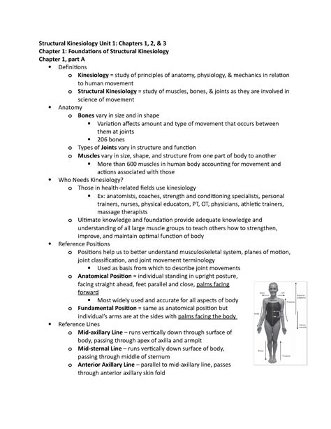 Chapter 9 manual of structural kinesiology answer key. - Manuale d'uso pala cingolata cat 943.