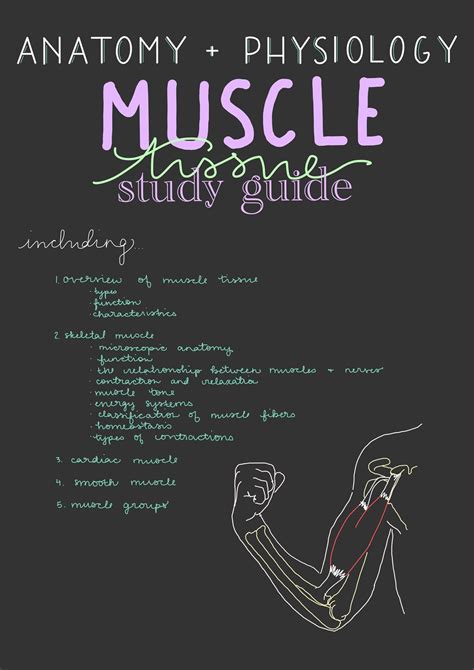 Chapter 9 muscles muscle tissue study guide answers. - Dansk ingenioerforenings anvisning for fugtisolering af betonbroer.