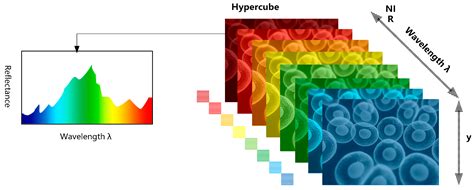 Chapter Analysis Hyperspectral 11 Jensen Image