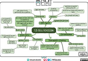 Chapter review 1 - PMT