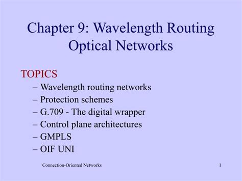Chapter9 Wavelength Routing Optical Networks
