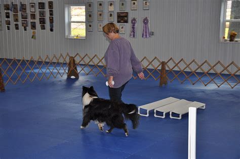 open house barn sale — 10 a.m. to 1 p.m., Char Will Kennels, 2 E. Railroad Ave., New Ringgold. Tours of rescue building, demos of former dogs working as police dogs, trainers and more.