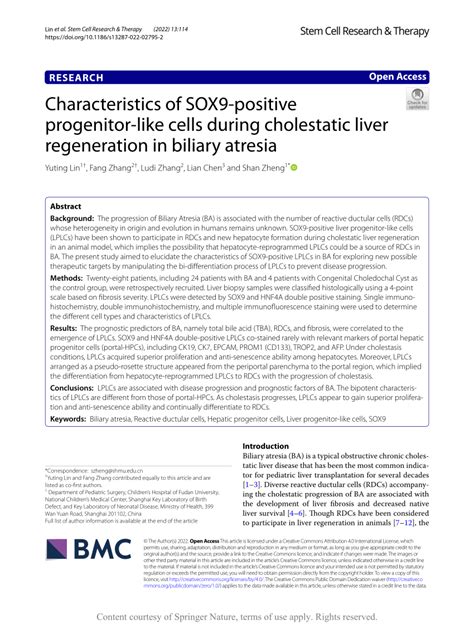 Characteristics of SOX9-positive progenitor-like cells during ...