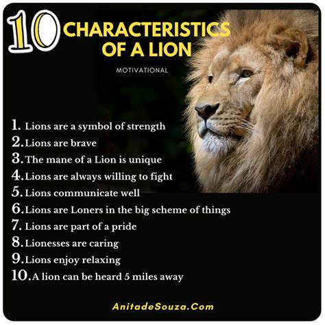 Characteristics of a lion personality