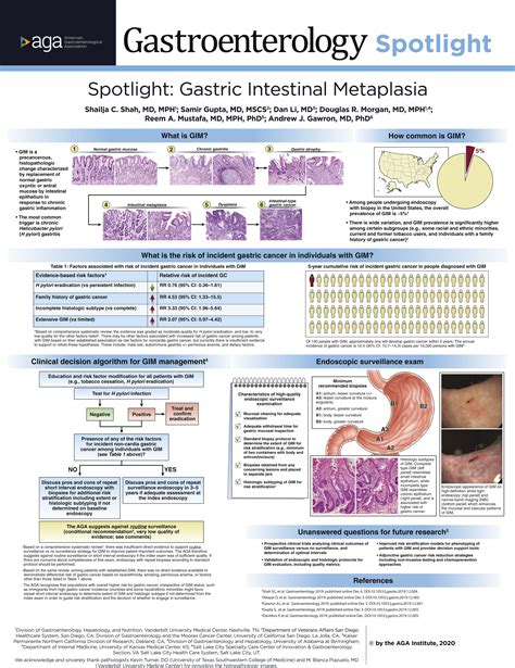 Characteristics of the gastric mucosa in patients with intestinal ...