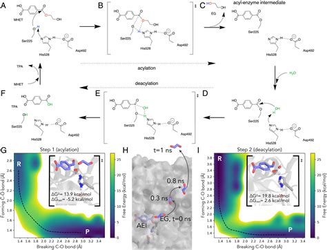 Characterization And Engineering Of A Two Enzyme System For Plastics Depolymerization Pnas