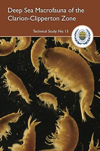 Characterization of Deep-sea Macrofauna in the Korean ... - Springer