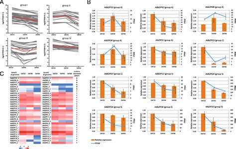 Characterization of a bZIP gene highly expressed during