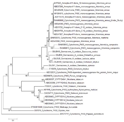 Characterization of cytochrome P450 monooxygenases isolated …