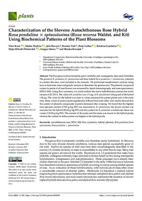 Characterization of the Slovene Autochthonous Rose Hybrid