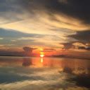 💦 [HD] Charbear2 Onlyfans Leak