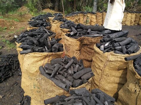 Charcoal Exporters, Suppliers & Manufacturers in …