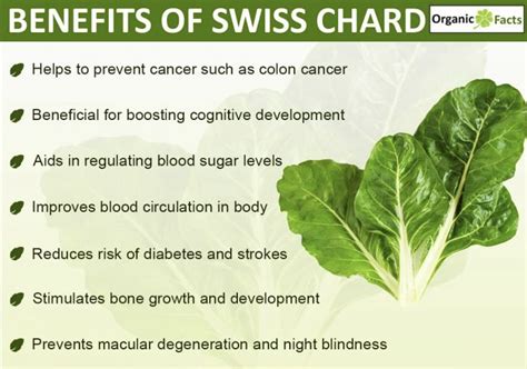 Chard Health Benefits & Uses - Joyful Belly School of Ayurveda