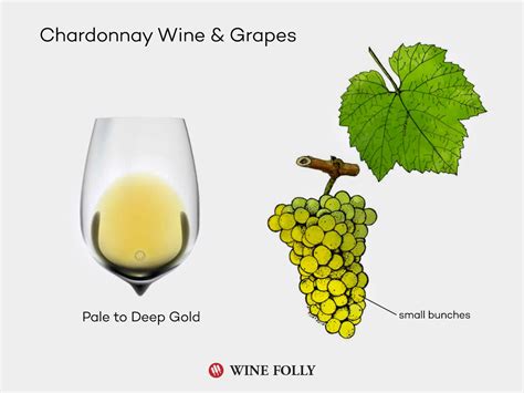 Chardonnay a complete guide to the grape and the wines. - L' agriculture au point de vue de l'émigration.