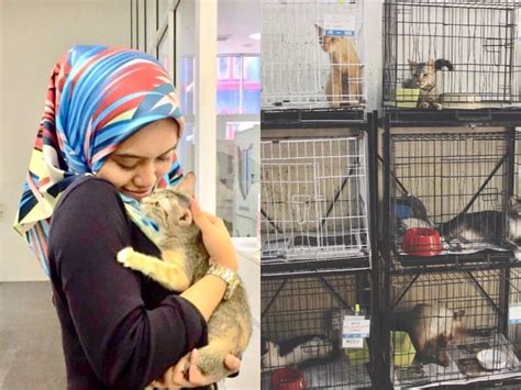 Charity in kl.  Find animal shelters here.  Comprehensive list of NGOs,...