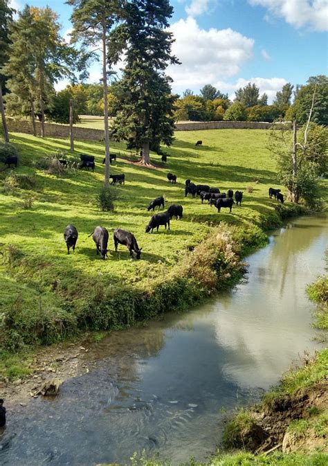 Charlbury No 1 Circular Walk - All You Need to Know BEFORE You …