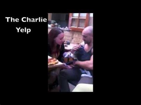 Charles Charlie Yelp Qujing