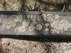 Charles Thomas Hulsey (1842–1900) • FamilySearch