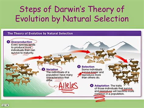 Charles darwins theory of evolution