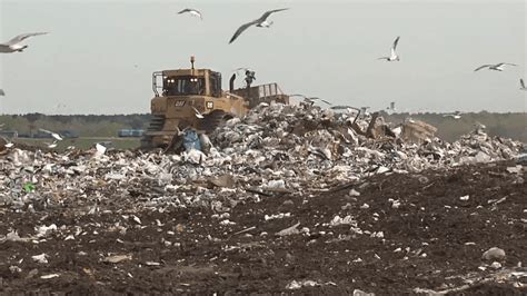 Charleston county landfill bees ferry. Don't forget to bring your tissues. Noah Calhoun wasn't kidding when he said 