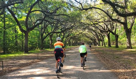 Charleston to Savannah Bike Tour Cycle of Life …