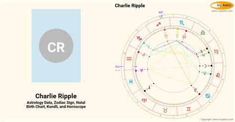 Charlie Ripple Stats & Scouting Report - Baseball America