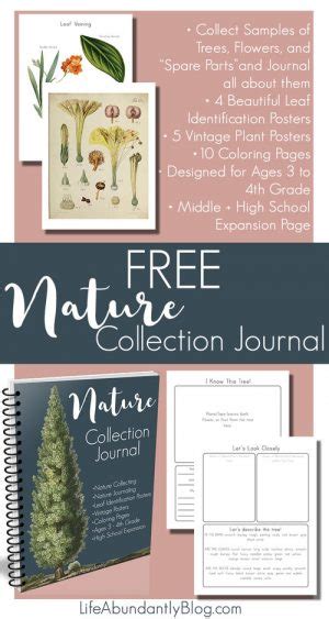 Charlotte Mason Printable Nature Journal Homeschool Printables For Free