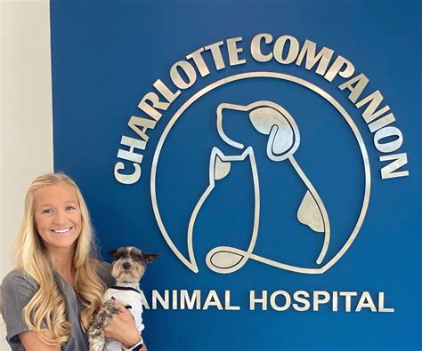 Charlotte animal hospital. Things To Know About Charlotte animal hospital. 
