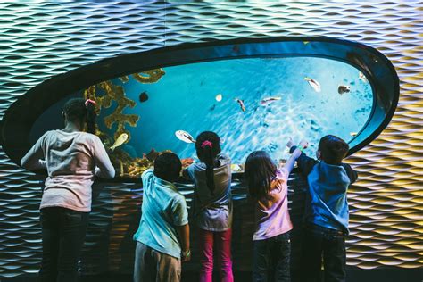 Charlotte discovery place. Discovery Place is one of the leading hands-on science museums and a hub for science education and exploration in the Carolinas through four distinct museums. Discovery Place | Museums in Charlotte NC, Museums in North Carolina 