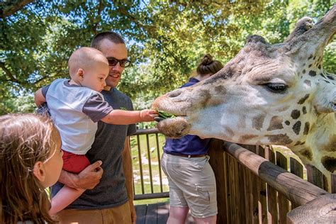 Charlotte zoo. Ignite a passion for learning at Discovery Place Science–Charlotte’s premier science museum–where live shows captivate young minds with thrilling experiments and awe-inspiring demonstrations. As a top pick … 