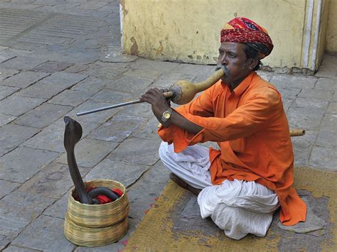 Charmer. Hallelujah played on the Galician Bagpipes (Gaita) by 2 artists, The Snake Charmer and Marco foxo from 2 different countries India and Spain, in a collabora... 
