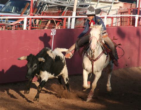 Charrería for Mexican Arizonans is more than just a sport; it