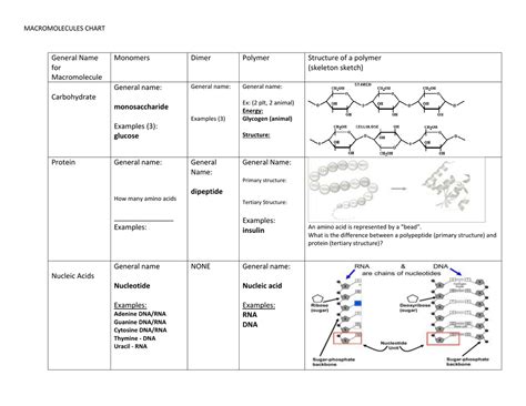 Chart of macromolecules. Things To Know About Chart of macromolecules. 