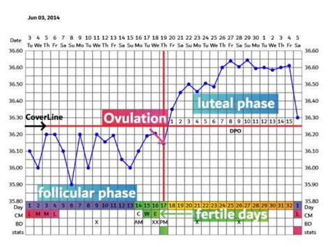 Charting Your Basal Body Temperature (BBT) - Nabta Health