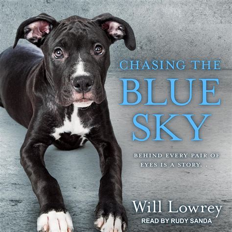 Full Download Chasing The Blue Sky By Will Lowrey