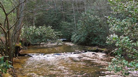 Chattahoochee-Oconee National Forest - Frank Gross …