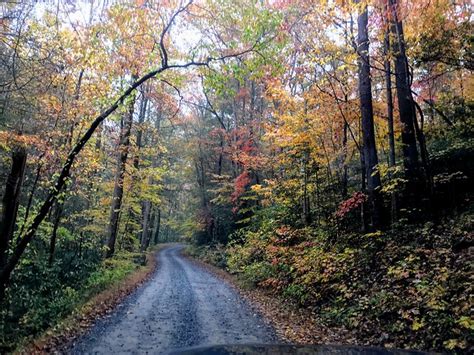 Chattahoochee-Oconee National Forest - Scenic Driving