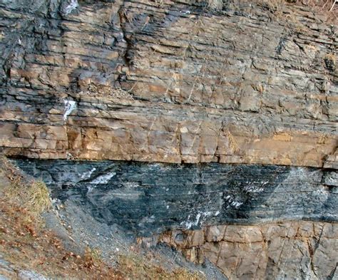 It is a flat-lying, massive, siliceous, pyritic marine black shale, on average about 10 m thick and located at a depth from 30 to 600 m. It unconformably rests upon Leipers Limestone and is overlain by the Maury Formation. The Chattanooga Shale includes three members.. 