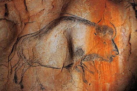  La cueva de Chauvet es considerada la primera obra maestra de la humanidad. Tiene una antigüedad estimada de 36.000 años y alberga más de 1000 dibujos y grabados; los animales son los protagonistas de los paneles y frescos representados. Feline Fresco (Chauvet Cave, Ardèche) (2008/2008) de L. Guichard/Perazio/smergc Cueva Chauvet ... .