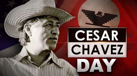 Chavez Ward Video Langfang