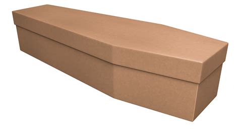 Cheap Cardboard Coffin Prices